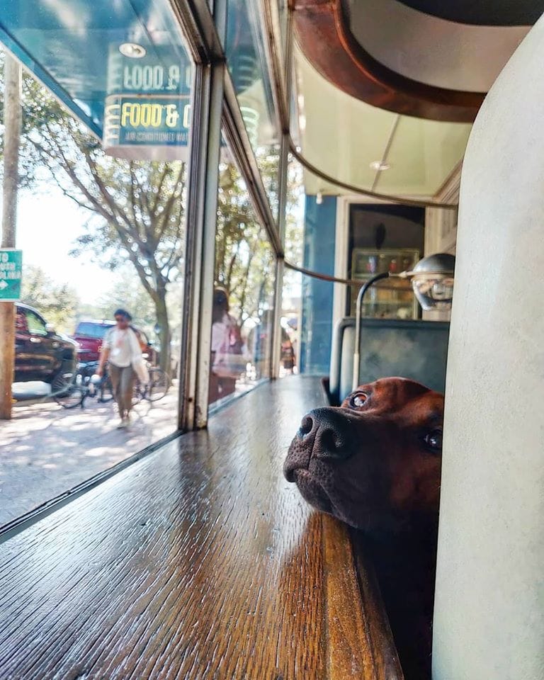 The perfect long weekend in Savannah, Georgia